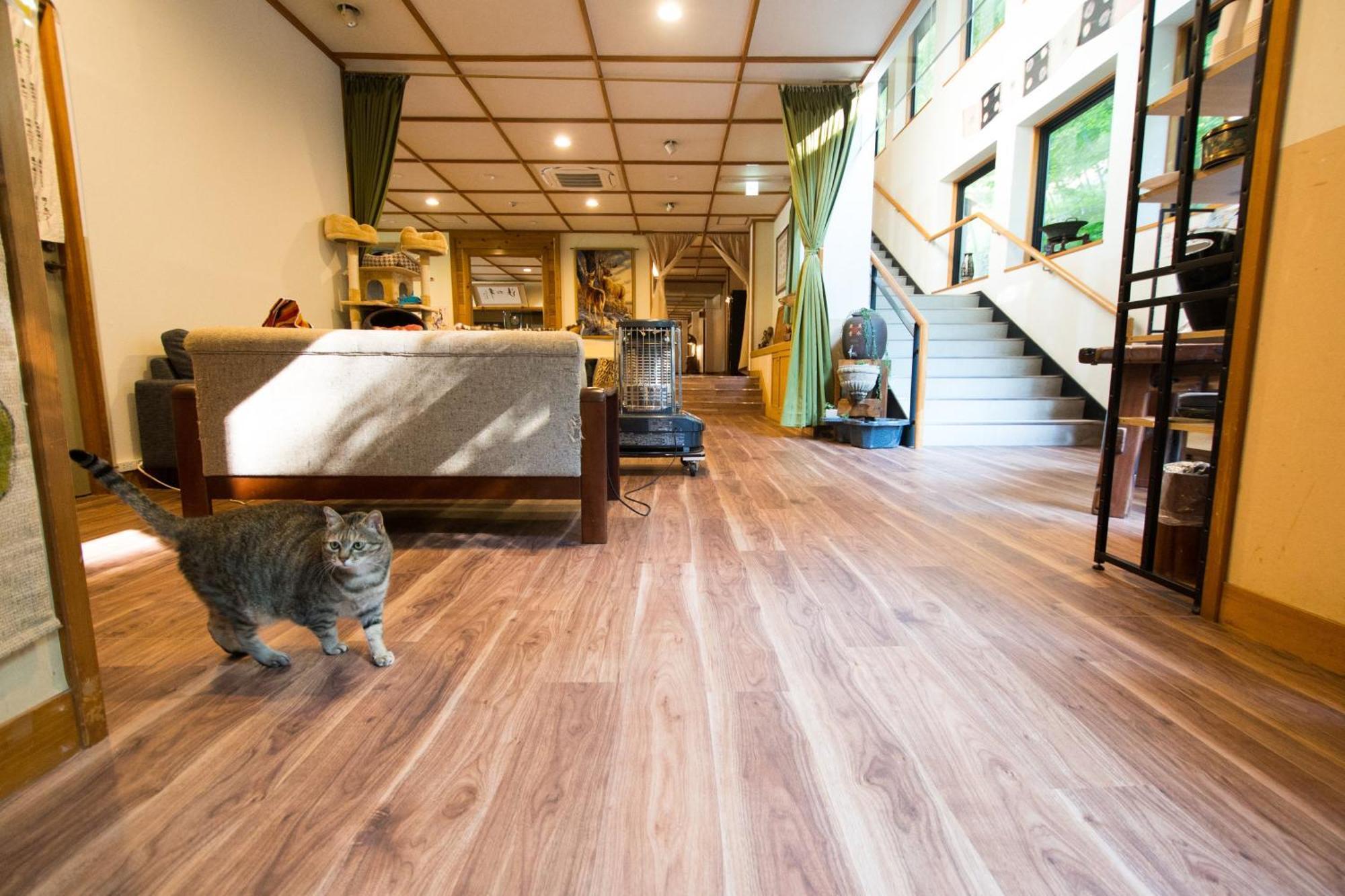 Akasawa Onsen Ryokan Nasushiobara Exteriör bild